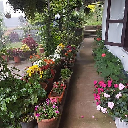 Rheinberg Town Haus Hotel Munnar Exterior photo