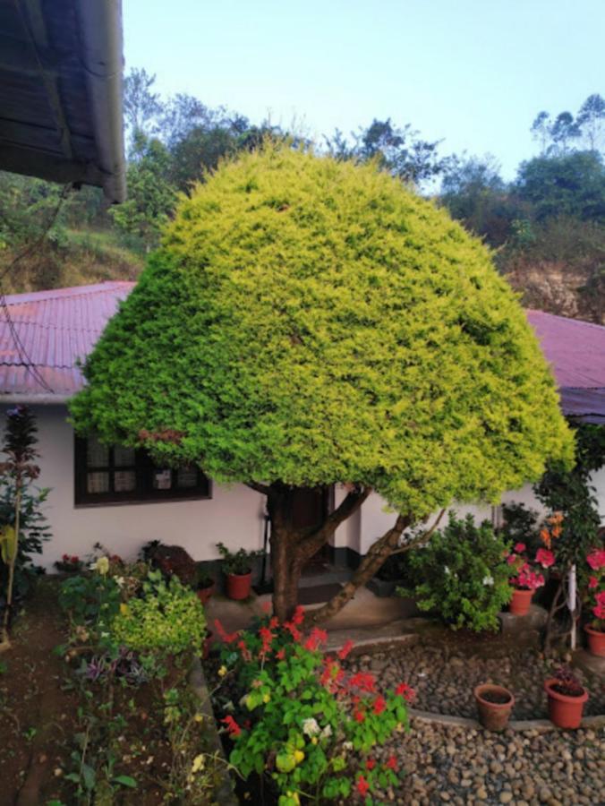 Rheinberg Town Haus Hotel Munnar Exterior photo